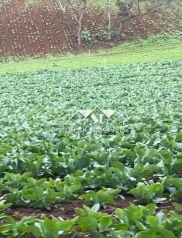 Fazenda / Sítio à venda em Centro, Teresópolis - RJ - Foto 4