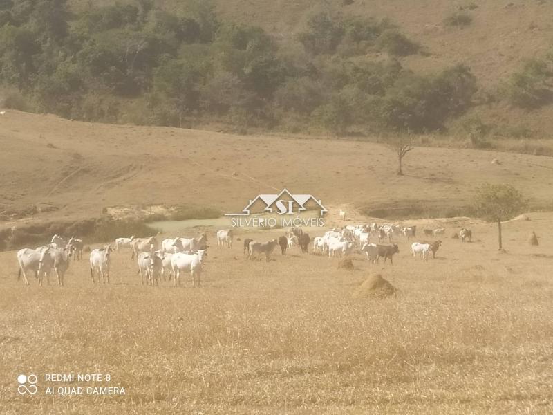 Fazenda / Sítio à venda em Centro, Paraíba do Sul - RJ - Foto 2