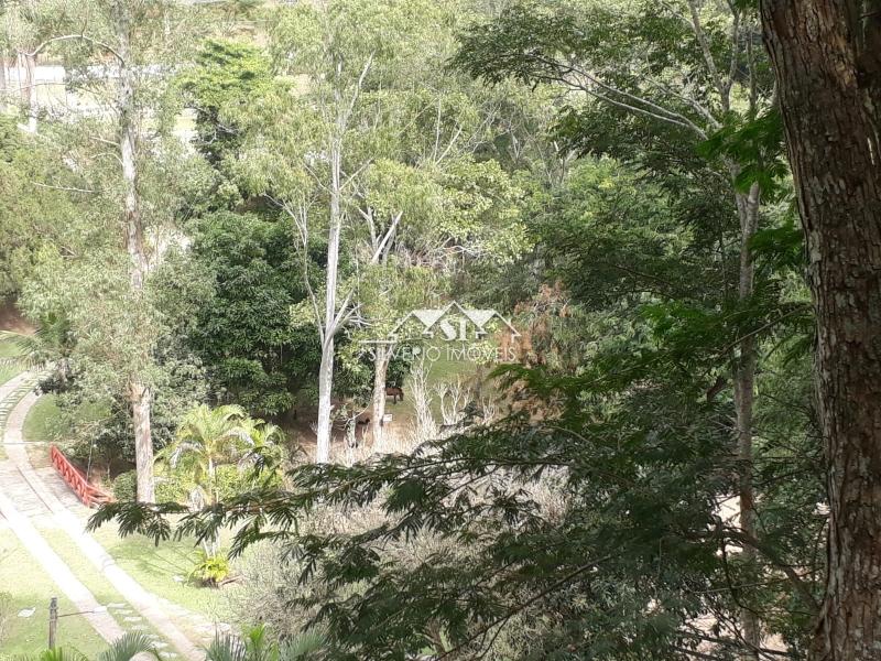 Fazenda à venda com 6 quartos, 2000m² - Foto 5