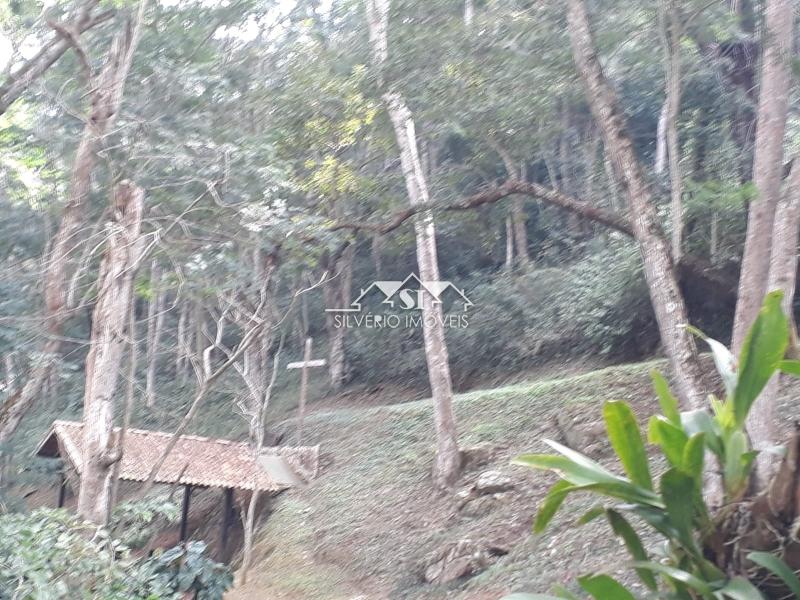 Fazenda à venda com 6 quartos, 2000m² - Foto 6