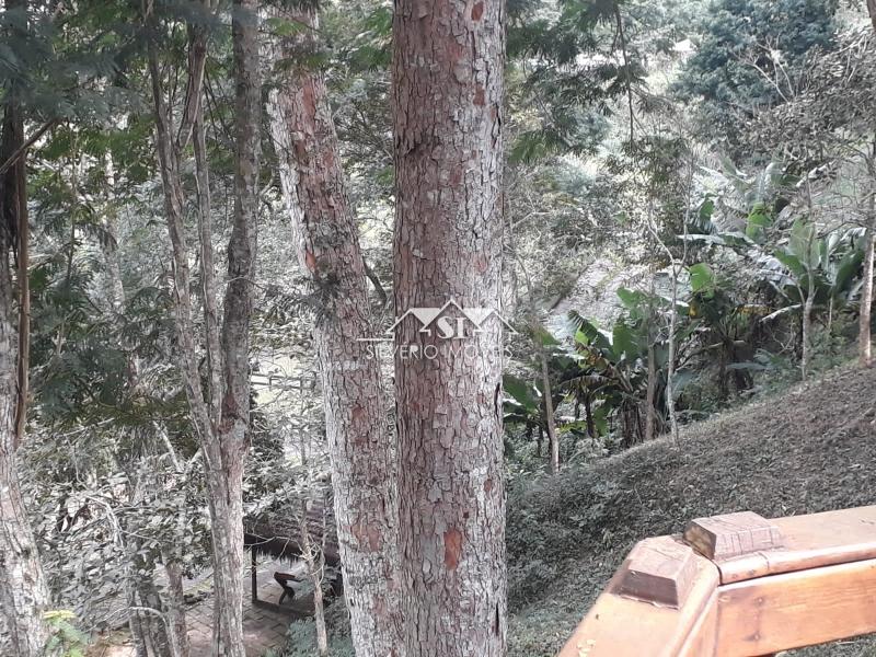 Fazenda à venda com 6 quartos, 2000m² - Foto 7