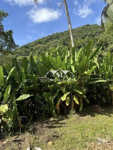 Sítio à venda com 4 quartos, 140000m² - Foto 3