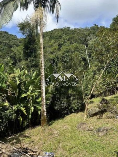 Sítio à venda com 4 quartos, 140000m² - Foto 4