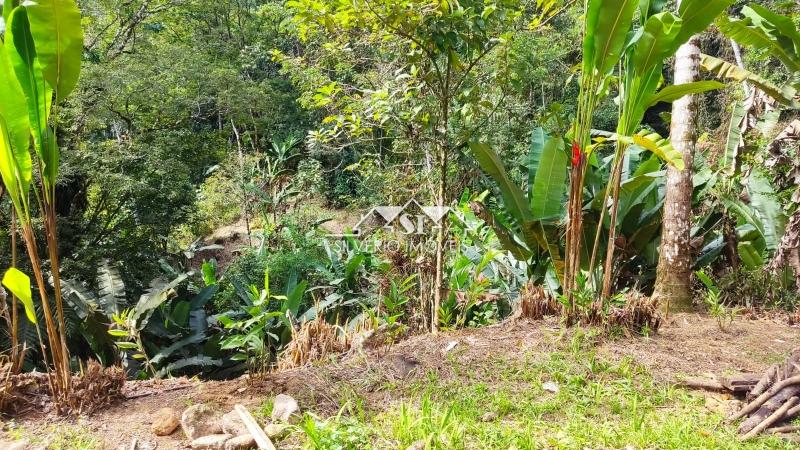 Sítio à venda com 4 quartos, 140000m² - Foto 21