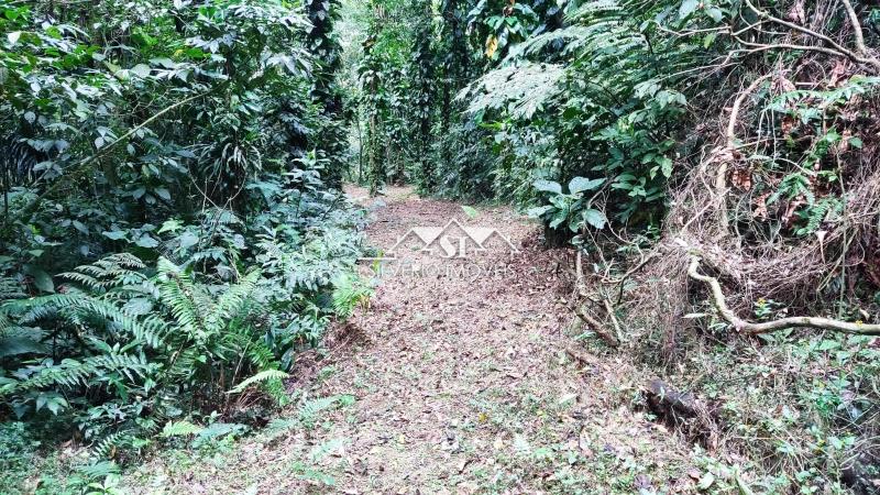 Sítio à venda com 4 quartos, 140000m² - Foto 27