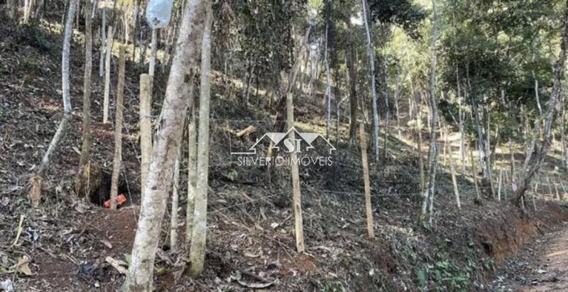 Terreno à venda, 2177m² - Foto 2
