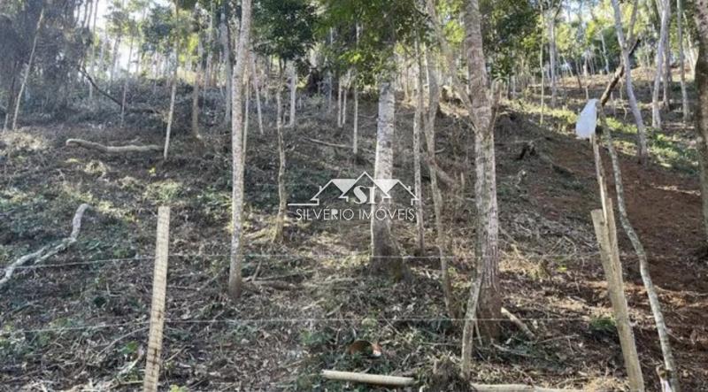 Terreno Residencial à venda em Itaipava, Petrópolis - RJ - Foto 3