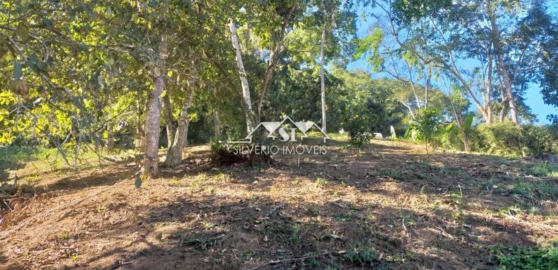 Casa à venda e aluguel com 3 quartos, 300m² - Foto 8
