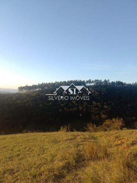 Terreno Residencial à venda em Araras, Petrópolis - RJ - Foto 14