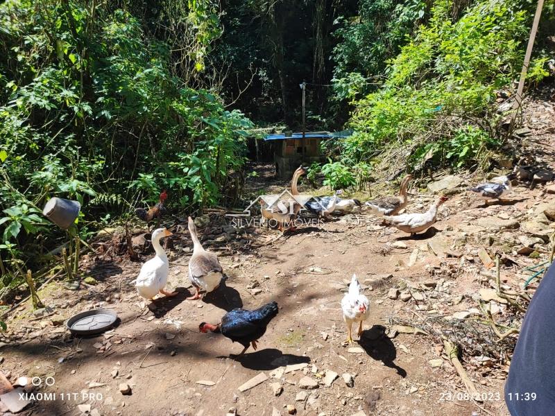 Casa à venda em Quitandinha, Petrópolis - RJ - Foto 26