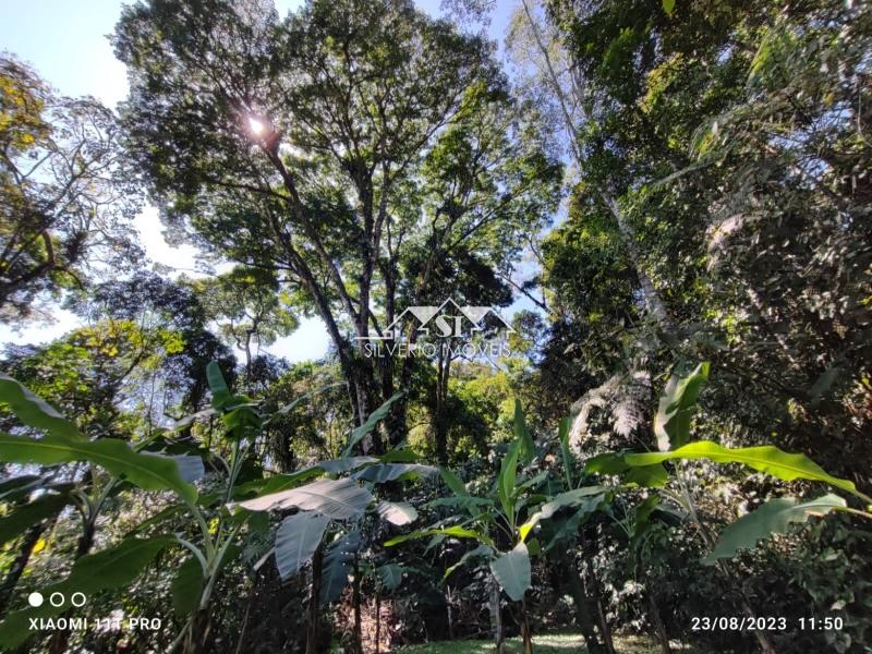 Casa à venda em Quitandinha, Petrópolis - RJ - Foto 29