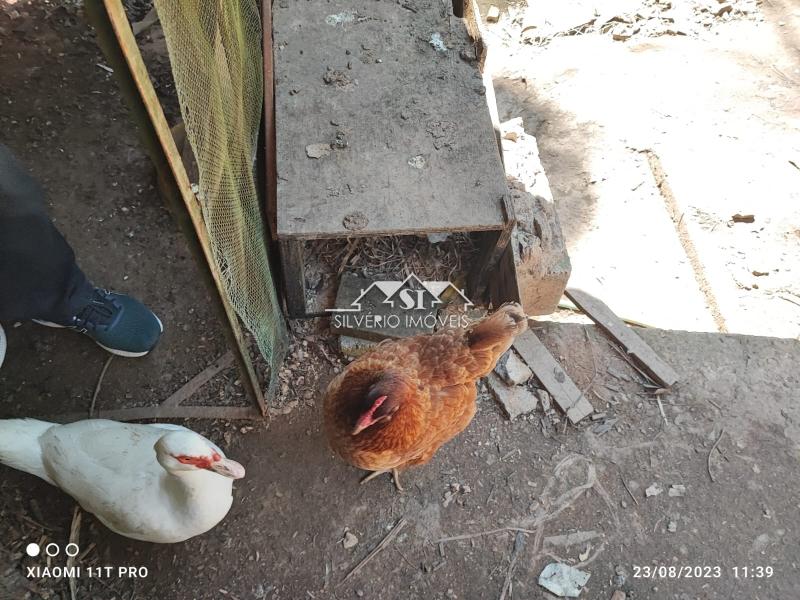 Casa à venda em Quitandinha, Petrópolis - RJ - Foto 36