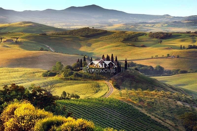 Terreno Residencial à venda em Julioca, Areal - RJ - Foto 6