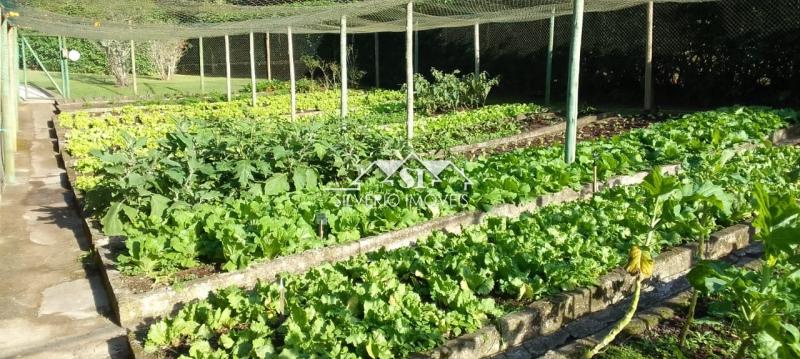 Casa à venda em Pedro do Rio, Petrópolis - RJ - Foto 4