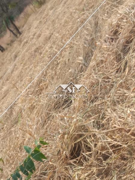 Terreno Residencial à venda em Centro, Areal - RJ - Foto 15