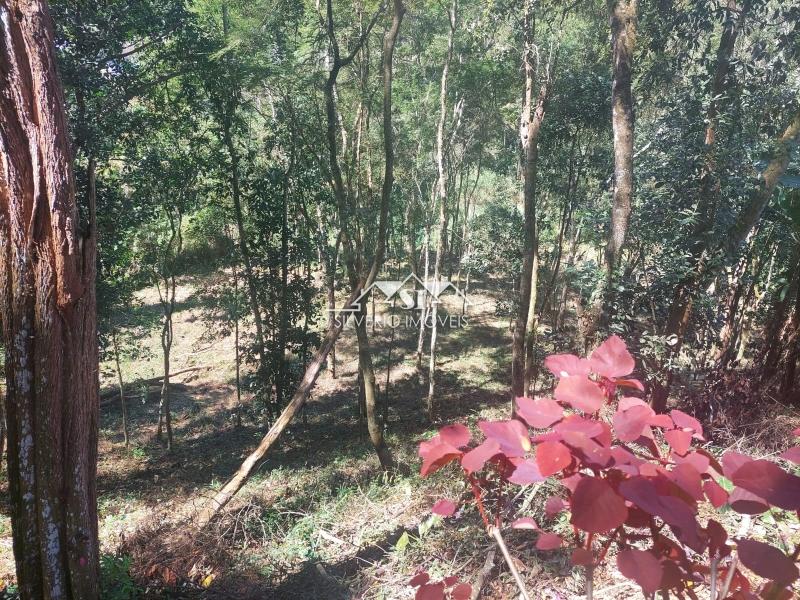 Terreno Residencial à venda em Vale do Cuiaba, Petrópolis - RJ - Foto 3