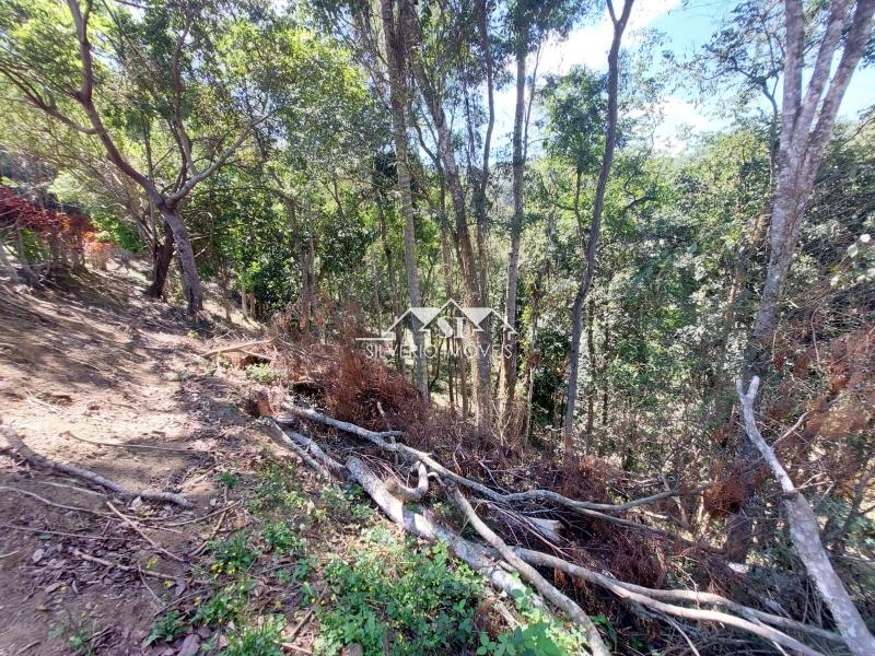 Terreno Residencial à venda em Vale do Cuiaba, Petrópolis - RJ - Foto 8