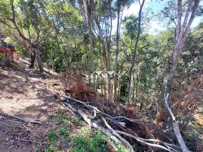 Terreno Residencial à venda em Vale do Cuiaba, Petrópolis - RJ - Foto 10