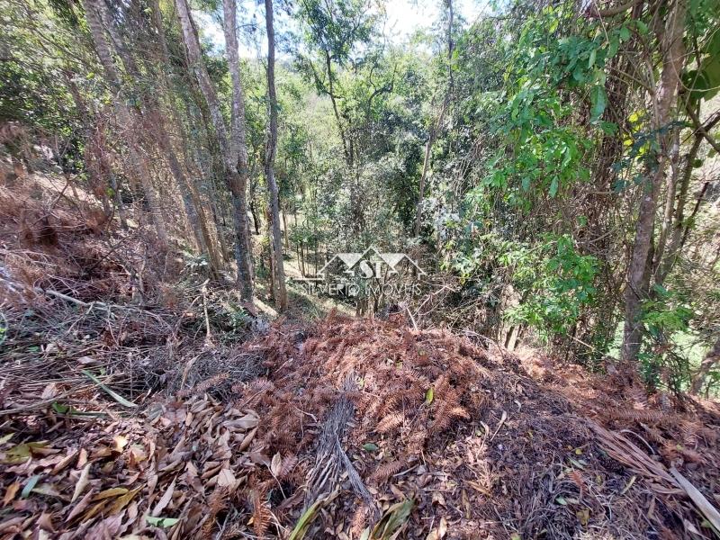 Terreno Residencial à venda em Vale do Cuiaba, Petrópolis - RJ - Foto 11