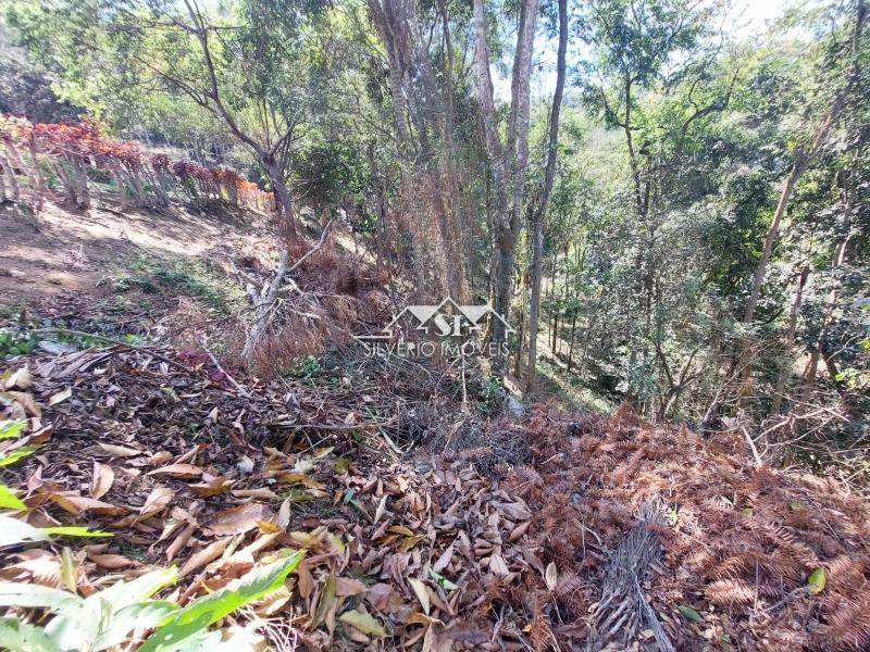 Terreno Residencial à venda em Vale do Cuiaba, Petrópolis - RJ - Foto 12