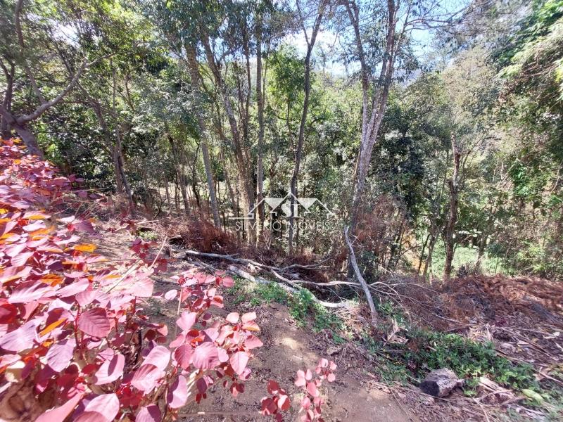 Terreno Residencial à venda em Vale do Cuiaba, Petrópolis - RJ - Foto 13