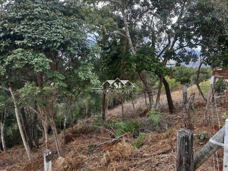 Terreno Residencial à venda em Itaipava, Petrópolis - RJ - Foto 3