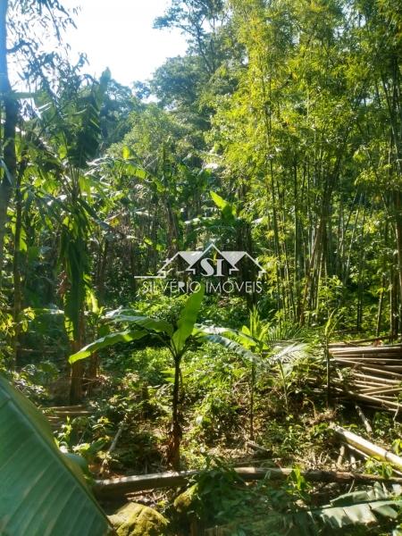 Terreno em Bingen - Petrópolis/RJ 