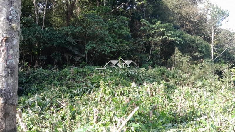 Terreno em Centro - Petrópolis/RJ 