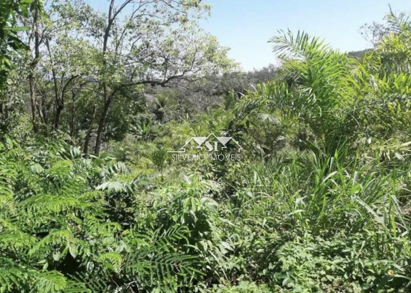 Sítio à venda com 4 quartos, 328m² - Foto 2