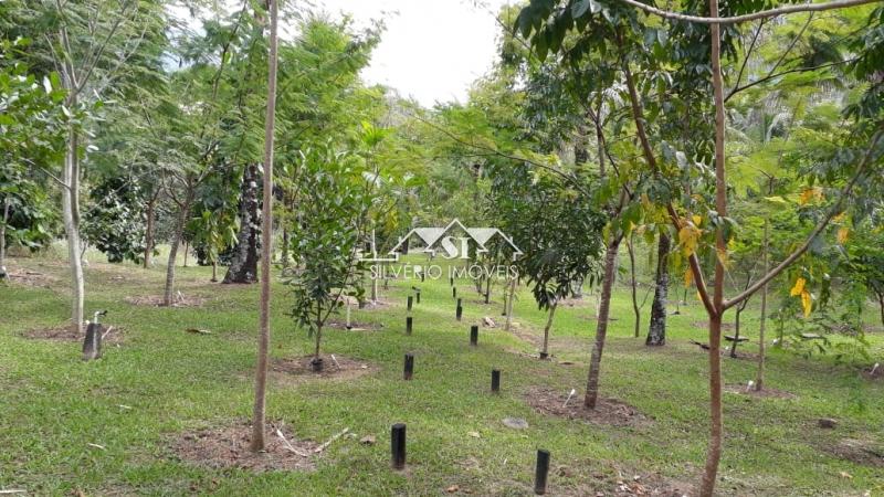 Sítio à venda com 2 quartos, 190m² - Foto 2