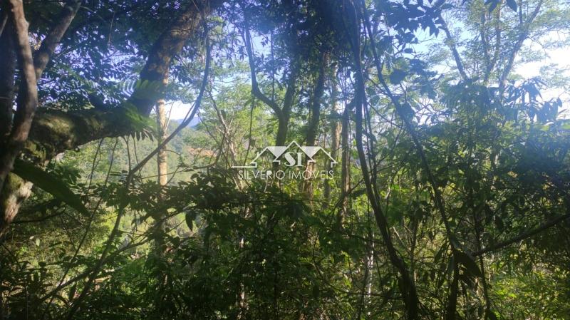 Terreno Residencial à venda em Itaipava, Petrópolis - RJ - Foto 6