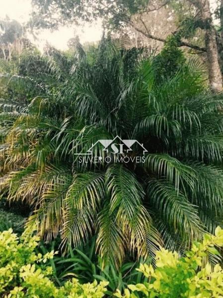 Terreno Residencial à venda em Parque do Imbuí, Teresópolis - RJ - Foto 7