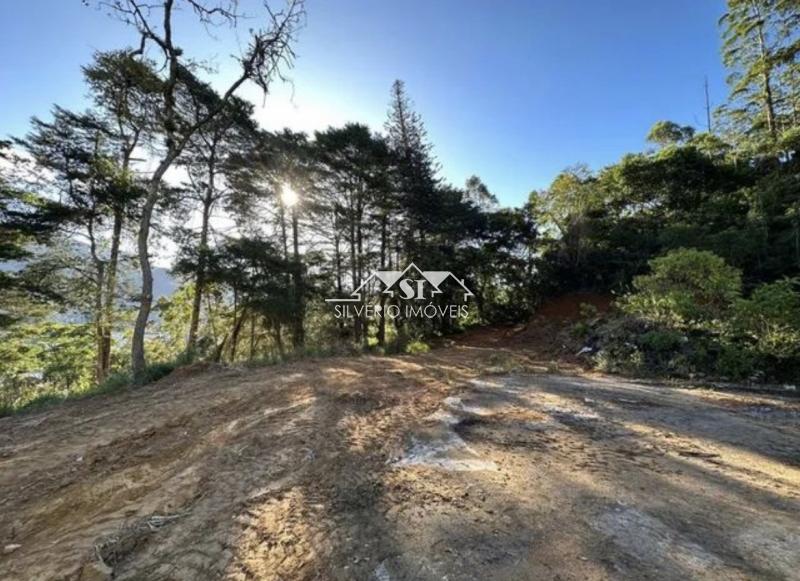 Terreno à venda, 320m² - Foto 4