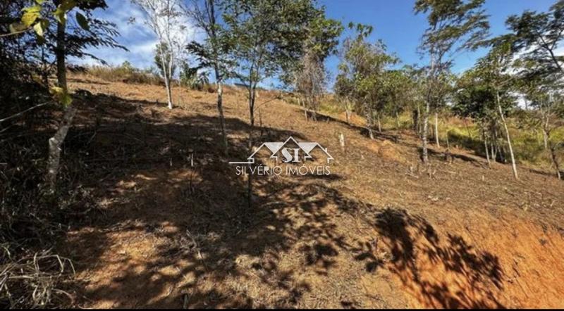 Terreno Residencial à venda em Nogueira, Petrópolis - RJ - Foto 4