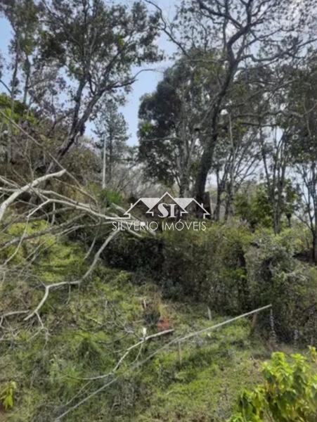 Terreno Residencial à venda em Itaipava, Petrópolis - RJ - Foto 2