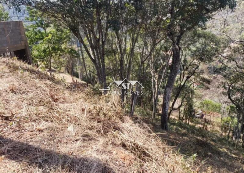 Terreno Residencial à venda em Itaipava, Petrópolis - RJ - Foto 5
