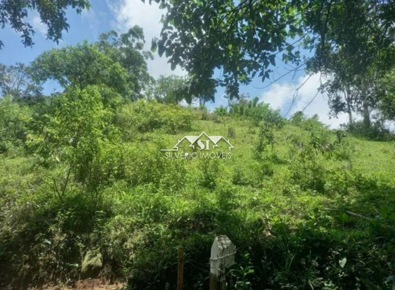 Terreno Residencial à venda em Araras, Petrópolis - RJ - Foto 3