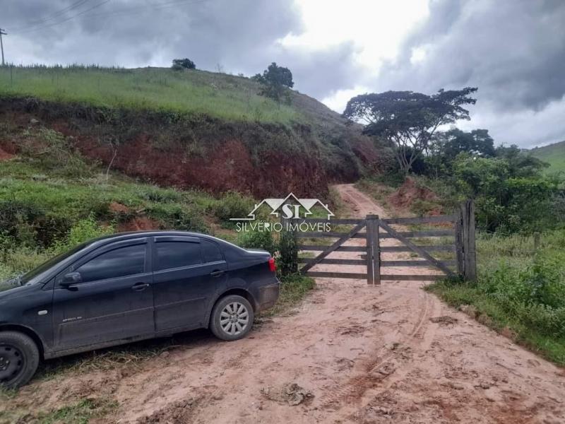 Fazenda à venda com 4 quartos, 350m² - Foto 6