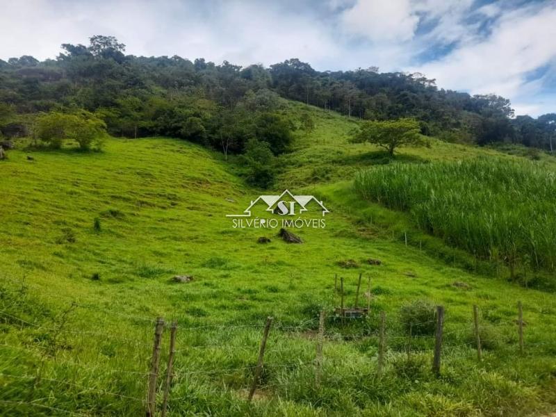 Fazenda à venda com 4 quartos, 350m² - Foto 10