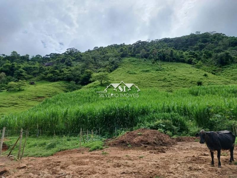 Fazenda à venda com 4 quartos, 350m² - Foto 25