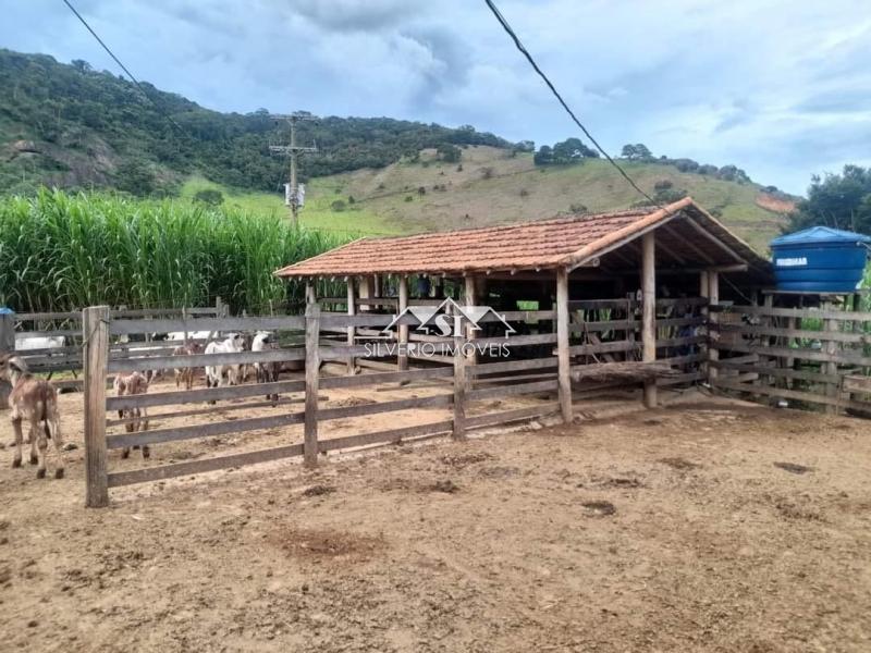 Fazenda à venda com 4 quartos, 350m² - Foto 24