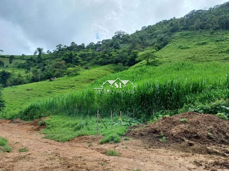 Fazenda à venda com 4 quartos, 350m² - Foto 27