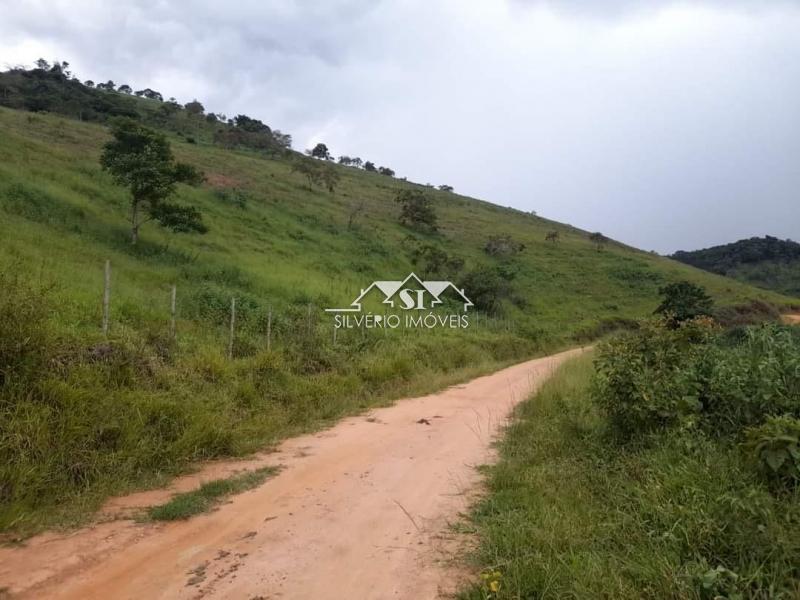 Fazenda à venda com 4 quartos, 350m² - Foto 28