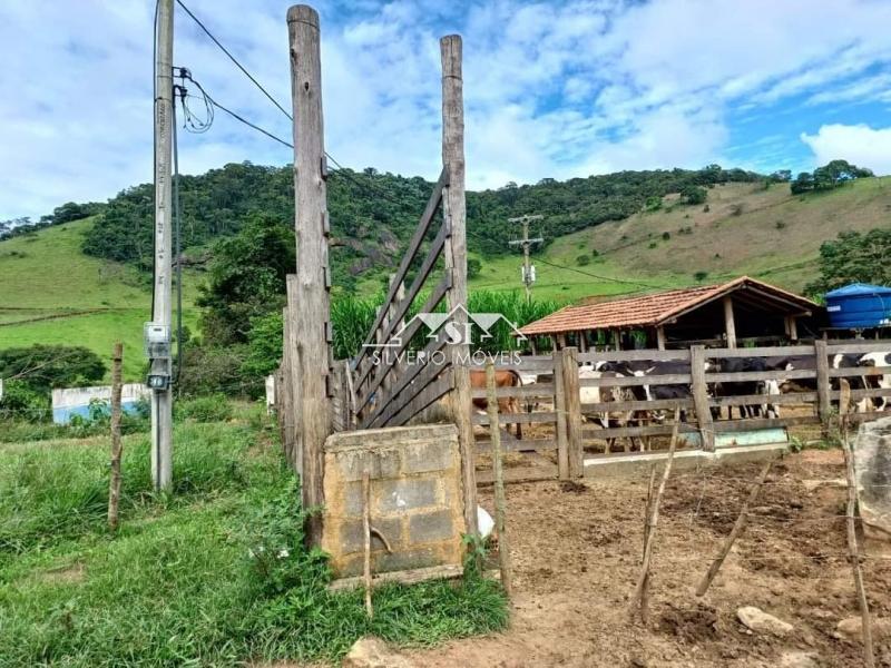 Fazenda à venda com 4 quartos, 350m² - Foto 33