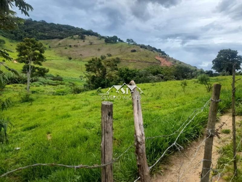 Fazenda à venda com 4 quartos, 350m² - Foto 37