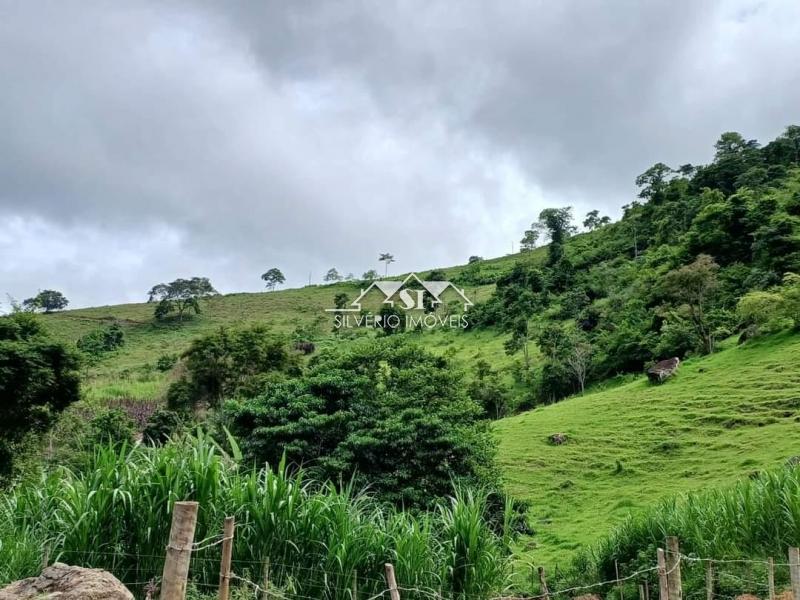 Fazenda à venda com 4 quartos, 350m² - Foto 38