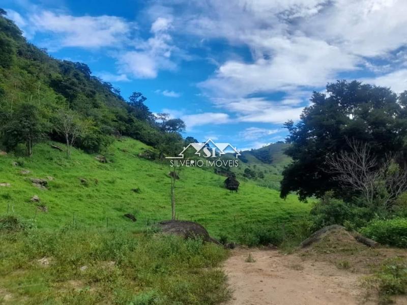 Fazenda à venda com 4 quartos, 350m² - Foto 39
