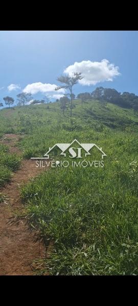 Fazenda à venda com 4 quartos, 350m² - Foto 40