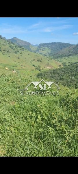 Fazenda à venda com 4 quartos, 350m² - Foto 41