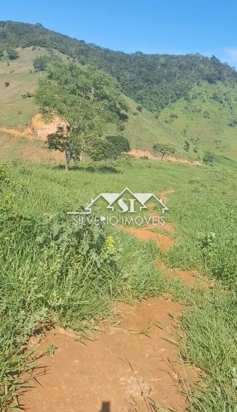 Fazenda à venda com 4 quartos, 350m² - Foto 42